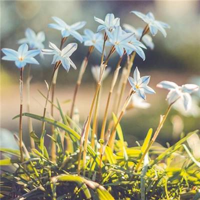 亚搏彩票app注册